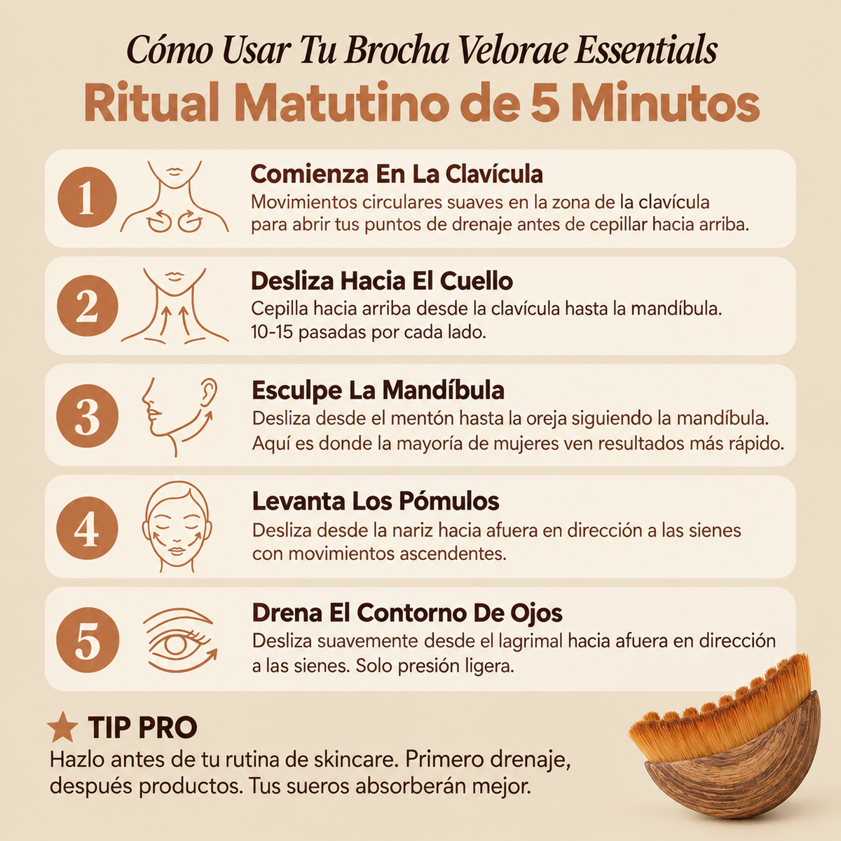 Velorae Essentials Lymphatic  Face Brush